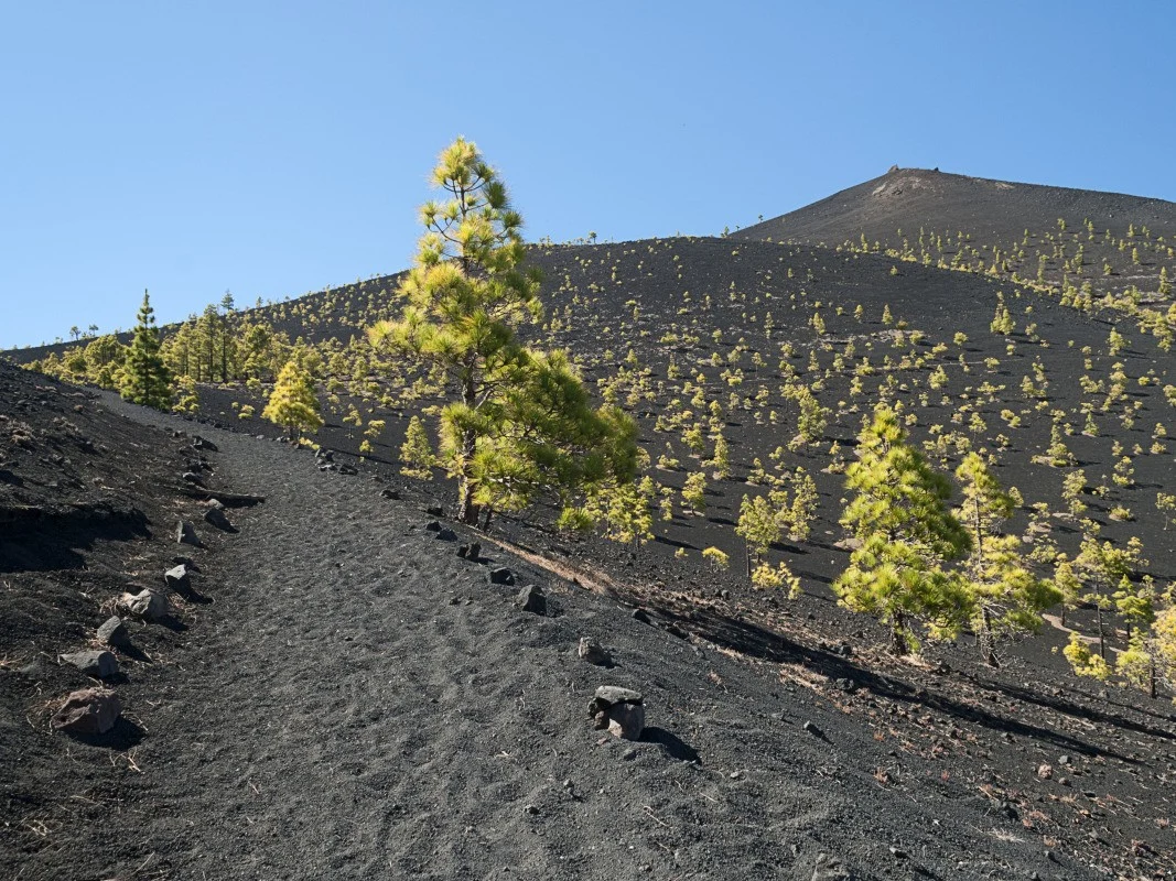 Mejor época para viajar a La Palma