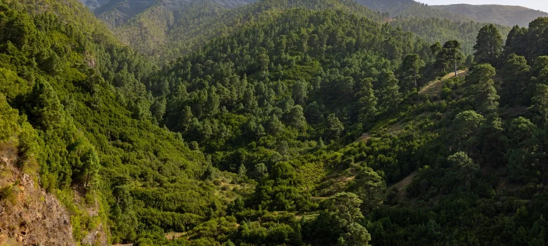 Mejor época para viajar a La Palma