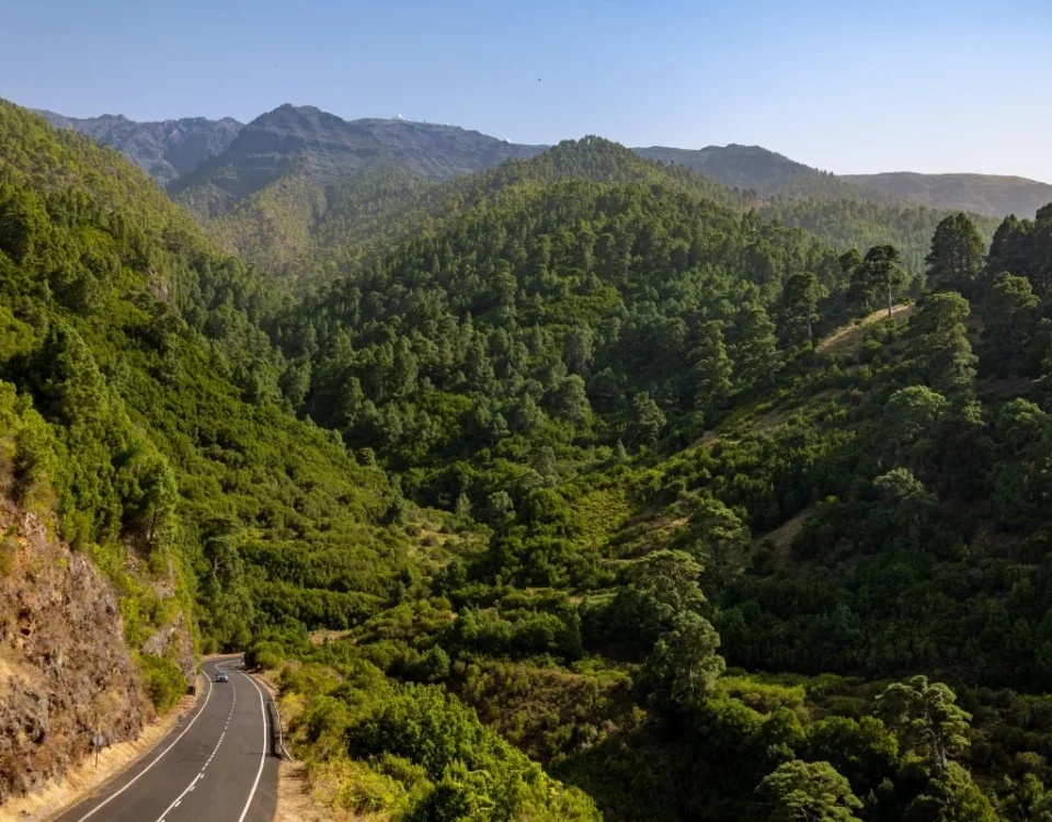Mejor época para viajar a La Palma